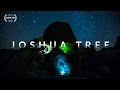 Joshua tree national park 4k visually stunning 5min tour