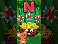 N is for Nest 🪺 | Learn Letter N | ABC Song for Kids | Koko's Class #toddlerlearning #kidssongs
