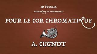 CUGNOT 27