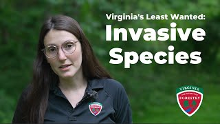 Virginia's Least Wanted: Invasive Species Explained