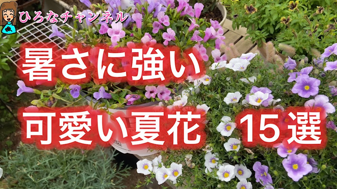 15 Heat-Tolerant, Cute Flowers] Ended Up Being 17! - YouTube