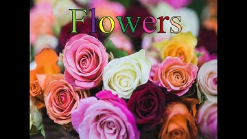 NAMES OF FLOWERS  ❤️ TÊN TIẾNG ANH CỦA CÁC LOÀI HOA  ❤️ BÉ HỌC TIẾNG ANH ❤️