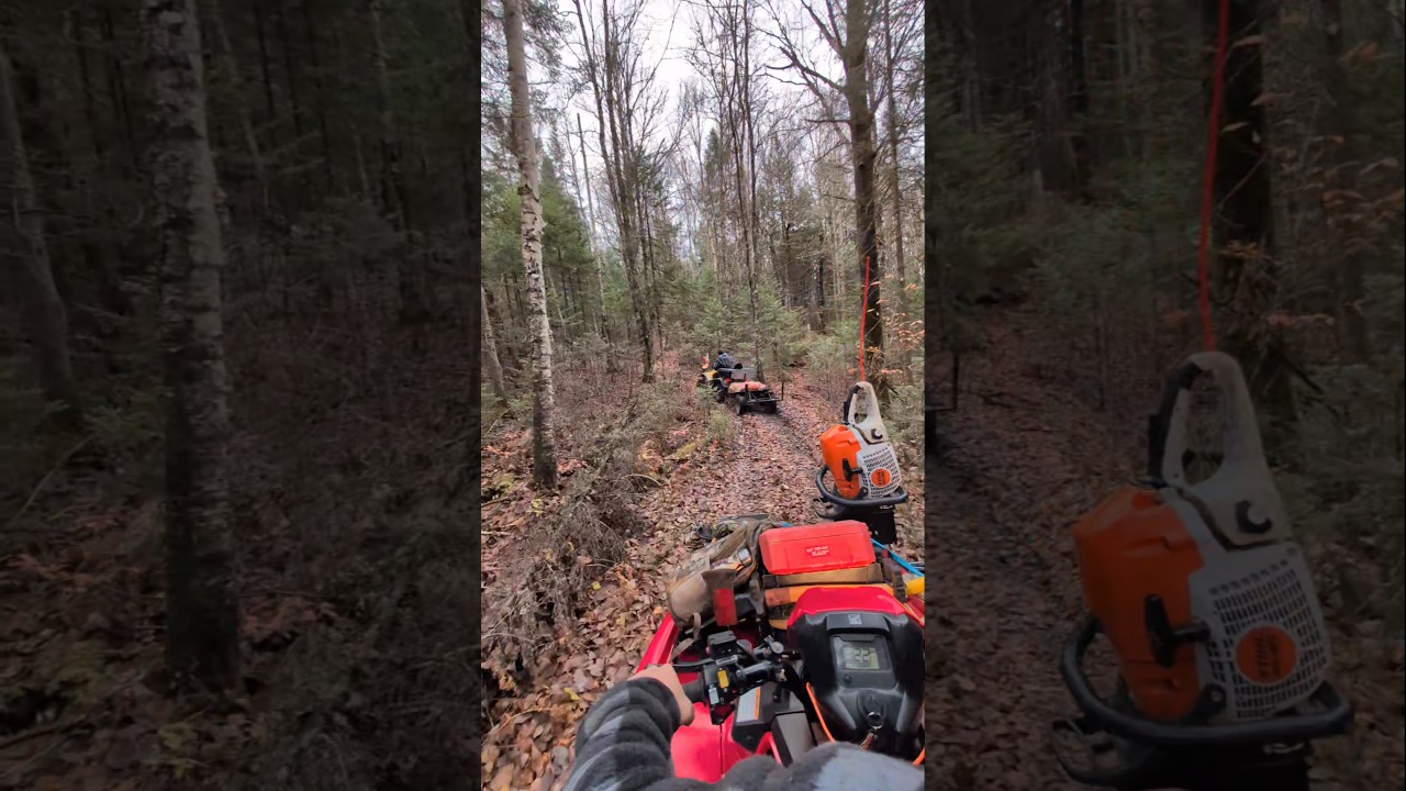 on the way to our hunting territory