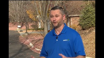 Fall Watering for Healthy Trees