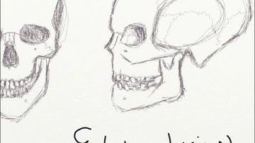 Drawing the Skull, Part 1