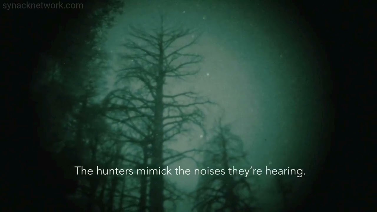 Amazing recording of Bigfoot/Sasquatch talking back and forth with Ron Morehead and crew in 1971.