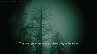 Amazing recording of Bigfoot/Sasquatch talking back and forth with Ron Morehead and crew in 1971.