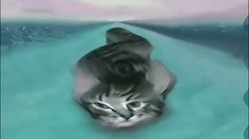 Preview 2 Numa Cats V4 | Effects