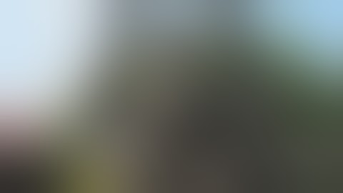 Artist Profile: Tuan Andrew Nguyen on Monuments and History