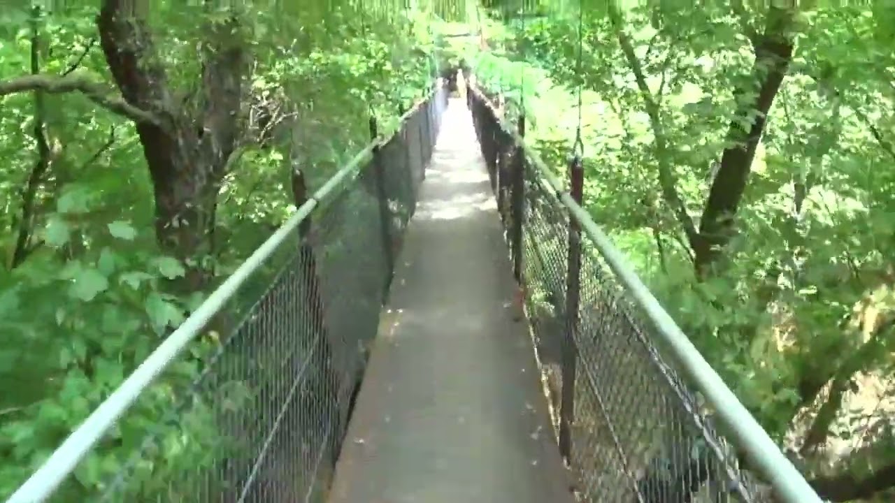Lullwater Park Cable Bridge Across Peachtree Creek