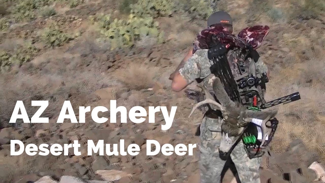 AZ Archery Deer January 2018 YouTube