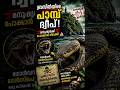 ഒരു ചുവട് മതി… മരണം ഉറപ്പ്! ☠️ |The World’s Deadliest Island #facts #facts