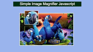 Famous Image Magnifier JavaScript | Image Zoom on Mouse Hover in JavaScript Profile