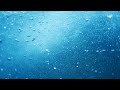 『私を喰べたい、ひとでなし』 第1話挿入歌「波の唄」/ This Monster Wants to Eat Me – Episode 1 Insert Song “Wave Song”