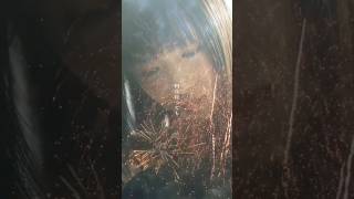 一緒にあの夏に戻ろう  #kobasolo #相沢 #若者のすべて #フジファブリック