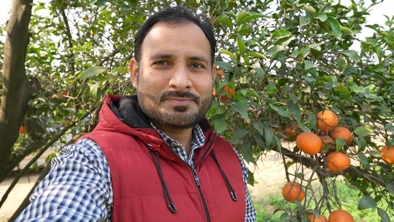 A Tour of Sargodha and Sillanwali, Oranges Garden🍊| Malton ka Bagh 🍊| Hadicraft Shooting | Motorway