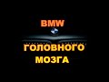 СОЛНЕЧНОГОРСК. BMW ГОЛОВНОГО МОЗГА