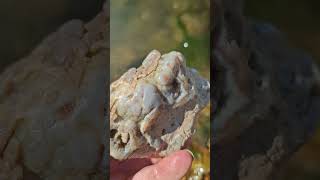 Rockhounding Creek Find Crawford County Wisconsin