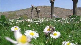 Çağlayan Kasabası Çat Yaylası