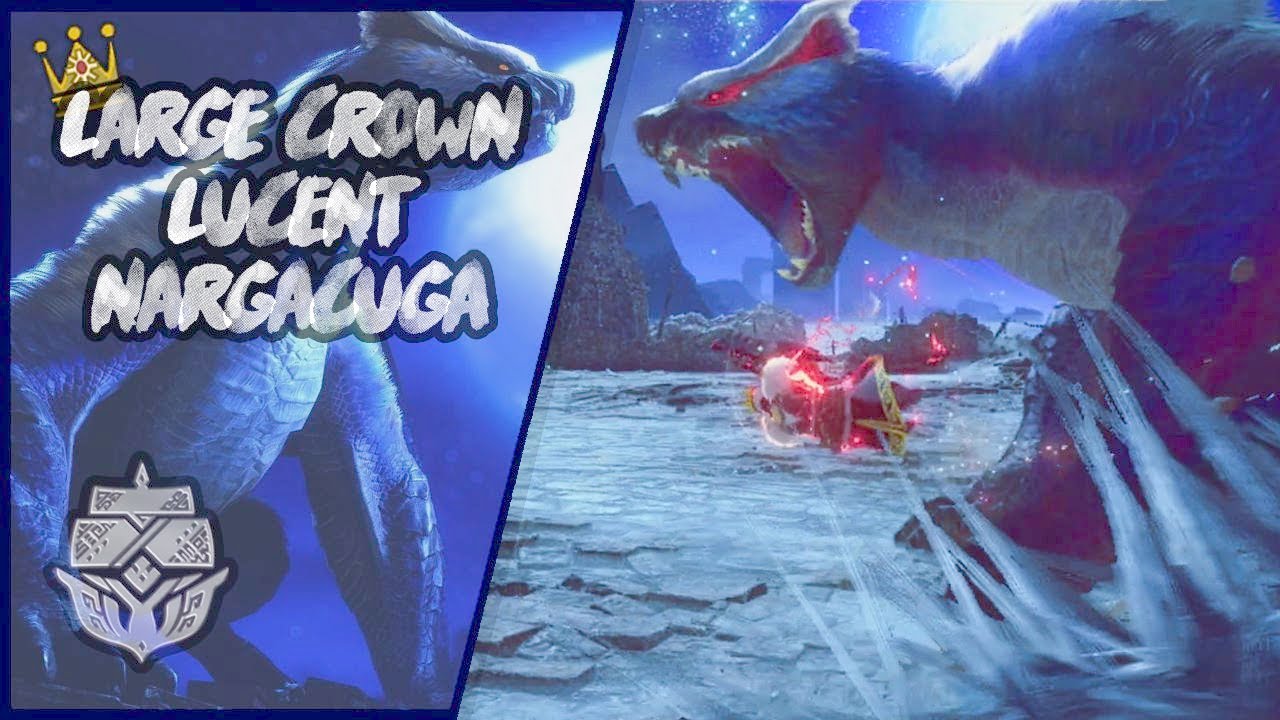 Large Gold Crown Lucent Nargacuga | MHR Sunbreak