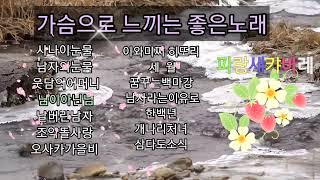 021  파랑새캬바레 21탄   가슴으로느끼는 좋은음악