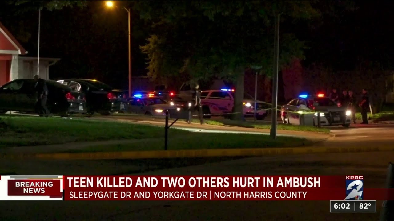 19-year-old man dead, 2 injured in shooting in north Harris County ...
