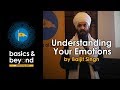 Understanding Your Emotions - by Baljit Singh - Basics & Beyond UK Camp 2017 [4K]