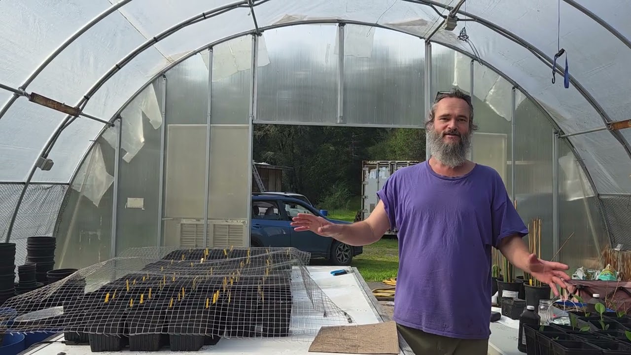 HOT TIP OF THE DAY - Protect those baby seeds from hungry birds!