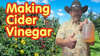 Homemade Apple Cider Vinegar🍻