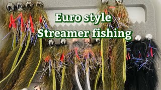 Wintertime Euro STREAMER fishing