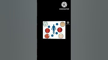 Where Is The Stem Cells Present? @EnteMicrobialWorld