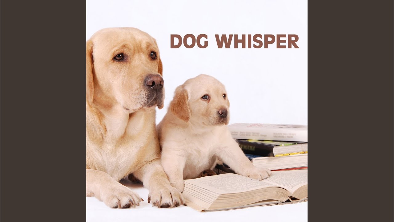 Carol of the Bells (Music for Dog Health)