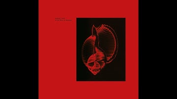 Anthony Linell - 1ITPOH