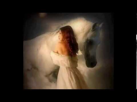 اللي بيحلم هاني شاكر