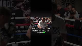 Gennady Golovkin Head Movement - Timing, Range &amp; Defensive Control