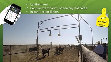 UHF RFID Solution for Livestock Management - AniTrace, div. of HANA Micron America Inc.