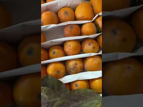 Vídeo: Enciclopèdia De Fruites: Com Triar, Emmagatzemar I Menjar Abiu