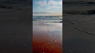 #Mellbystrand   N4#artcollection   #svitlanalavreniuk #abstractlandscape #sea #abstractart #artsl