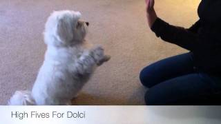 Dolci Got New Tricks