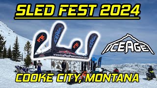 SLED FEST 2024  Cooke City Montana