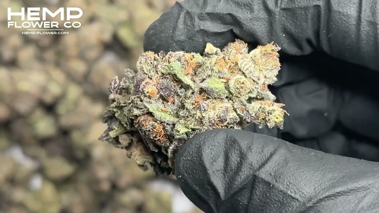 Chunky Monkey Indoor THCa Flower by Hemp-Flower.com