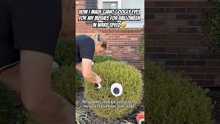 How I Made Giant Googly Eyes For My Bushes For Halloween In Warp Speed
