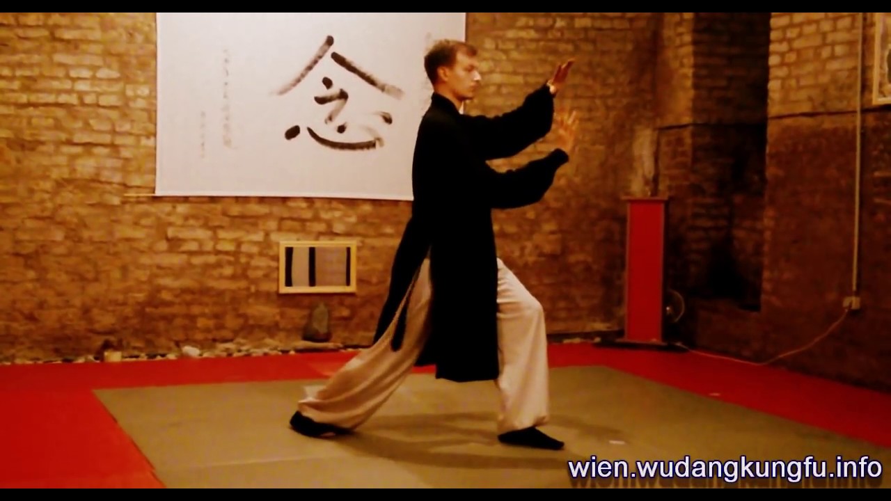 Wudang Sanfeng Taiji 28 Steps