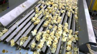 Whelk Fines Removal & Sizing