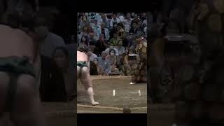 Aoiyama VS Hiradoumi Aki Basho 2023 Sumo #sport #japan #wwe #сумо #япония #mma #ufc #sumo #борьба