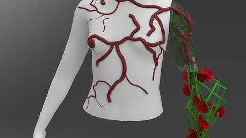 MARC6102/ASSIGNMENT 2/S2 2018