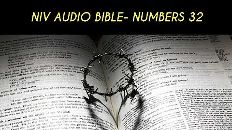 NUMBERS 32 NIV AUDIO BIBLE (with text)