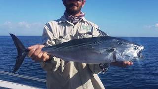 First Mac Tuna Using Halco Soft Plastic Paddle Prawn