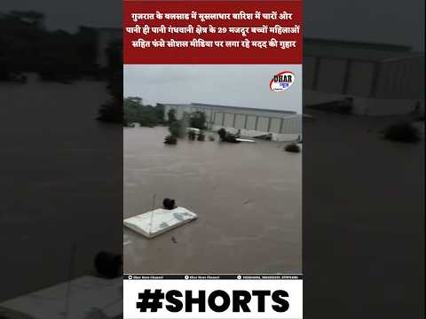 वलसाड की मूसलाधार बारिश चारों ओर पानी मल्टीमें फंसे गंधवानी के 29 मजदूर महिलाबच्चे पानी पी कर गुजारा