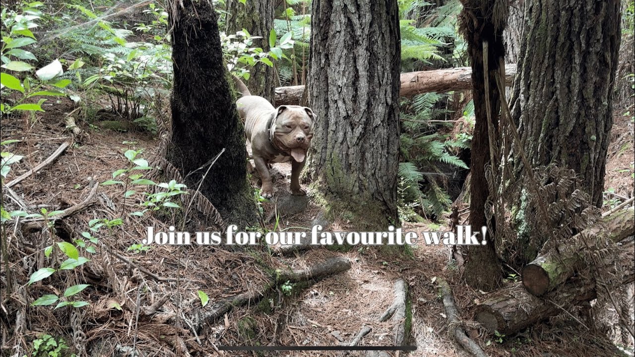 Join us for our favourite Adventure Walk! 